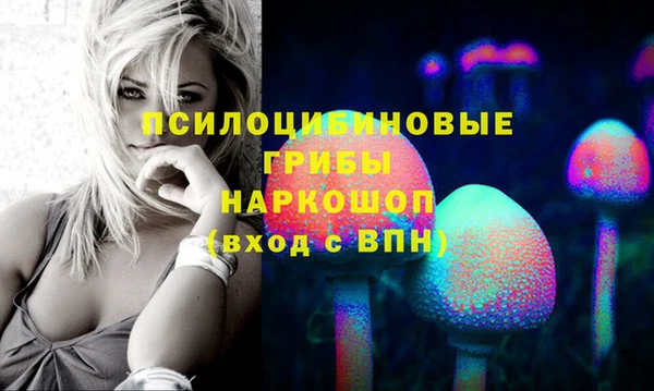 таблы Медногорск