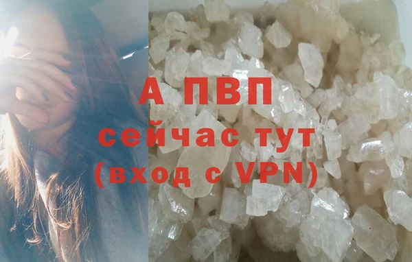прущие грибы Болохово