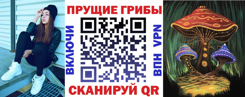 Галлюциногенные грибы Psilocybine cubensis  купить наркотик  Мензелинск 